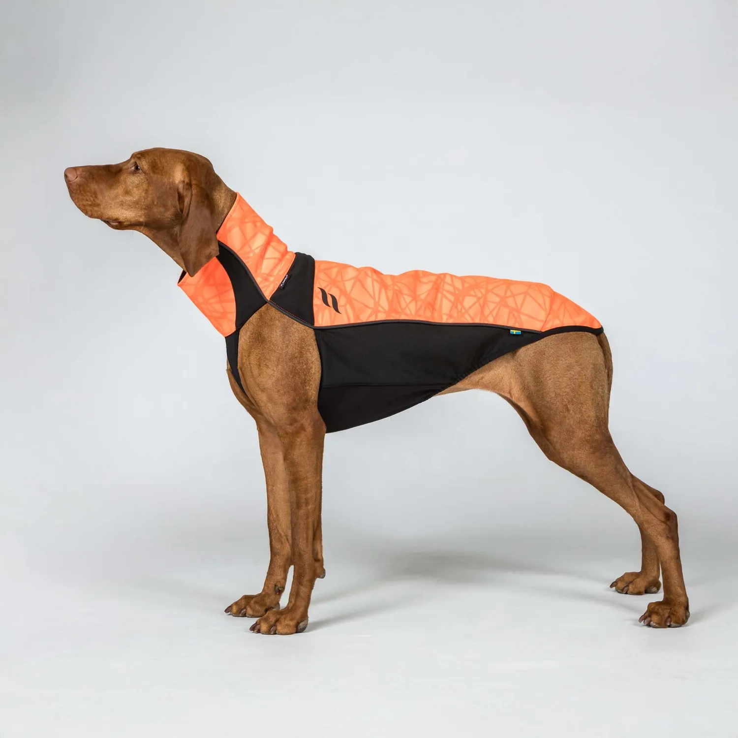 Back on Track Bark Visibility combinaison chien orange réfléchissante