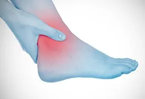 Elastrap chevillère ligamentaire grise blanche réglable scratch