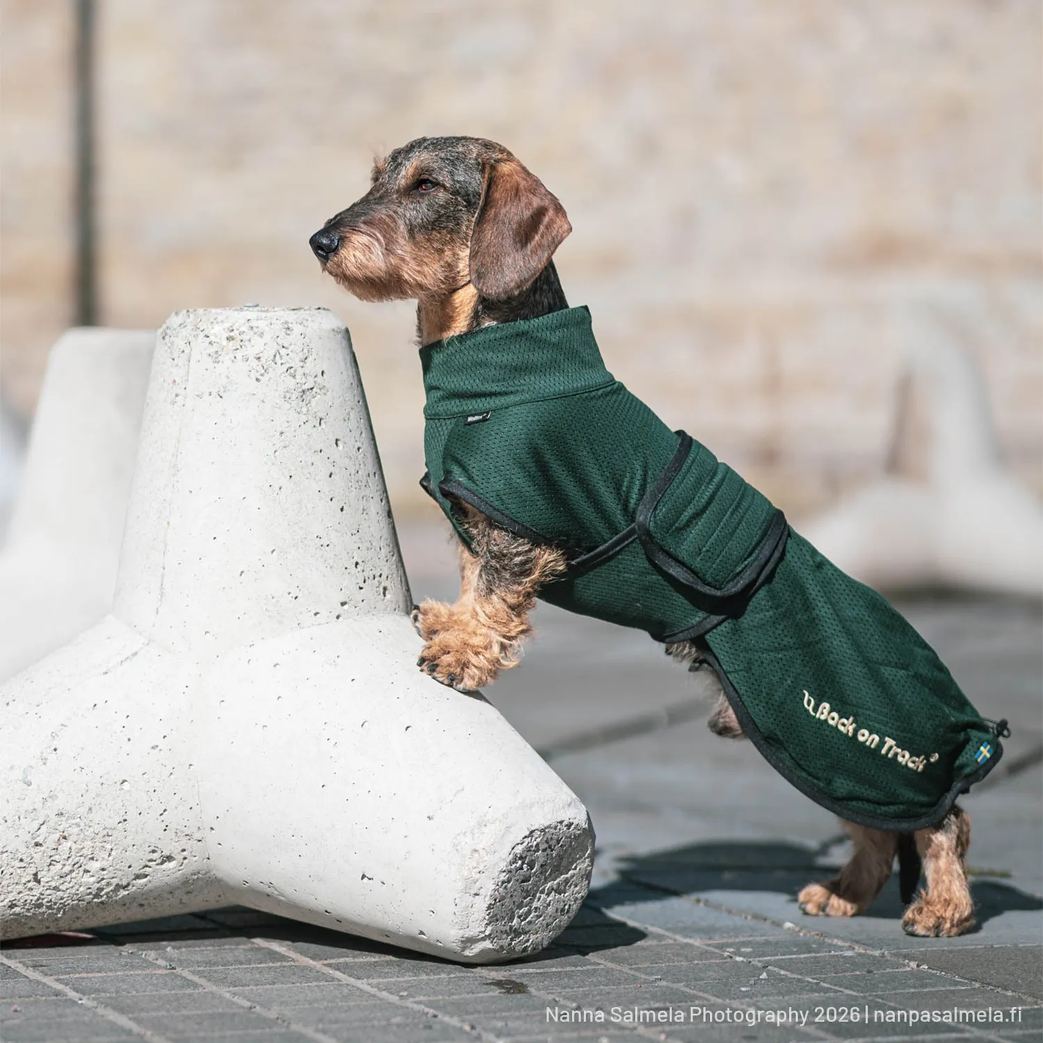 Back on Track Buddy manteau chien noir 50 cm respirant