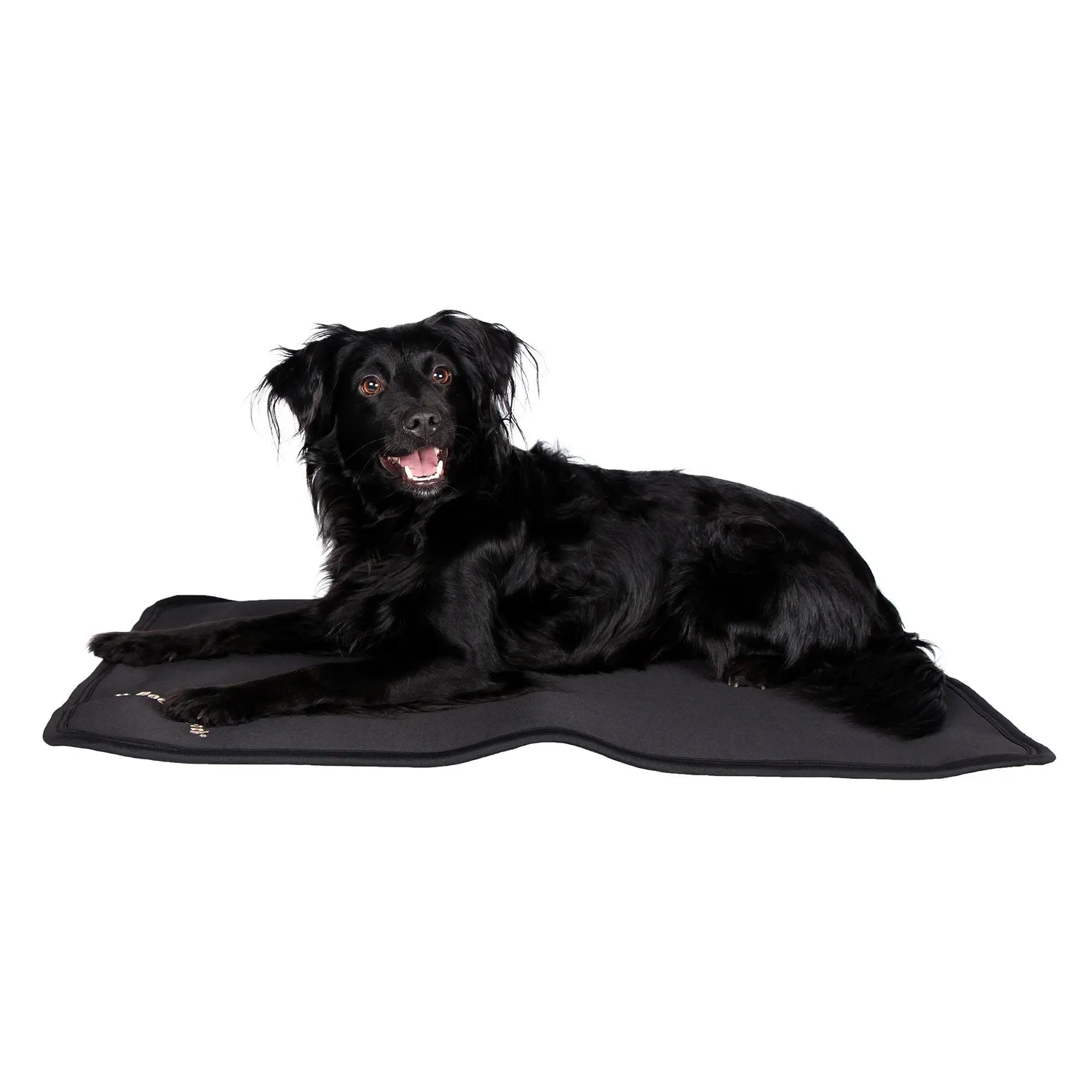 Back on Track All-round matelas chien noir 76x58 cm