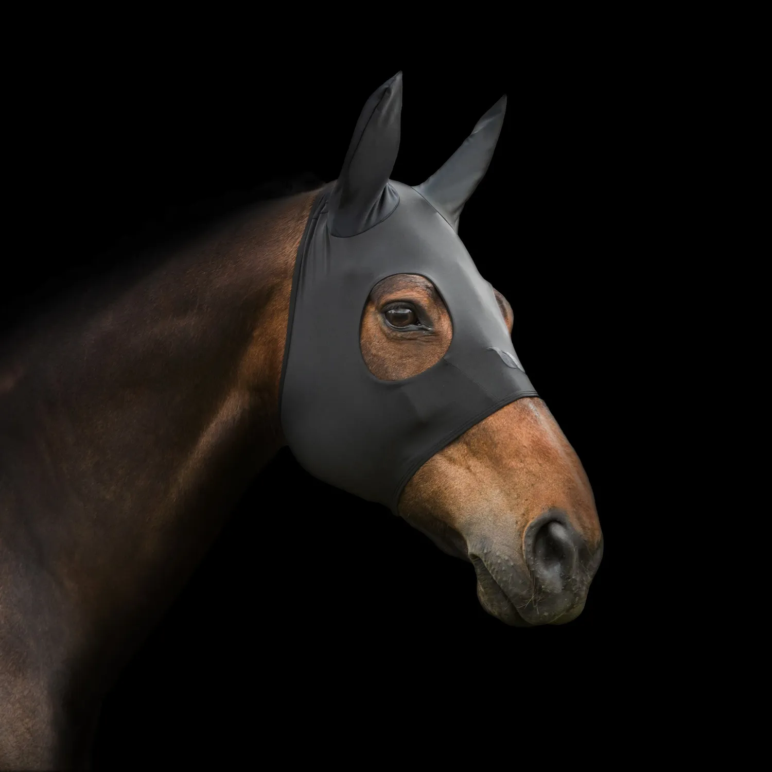 Back on Track Spirit bonnet apaisant cheval noir Cob Full