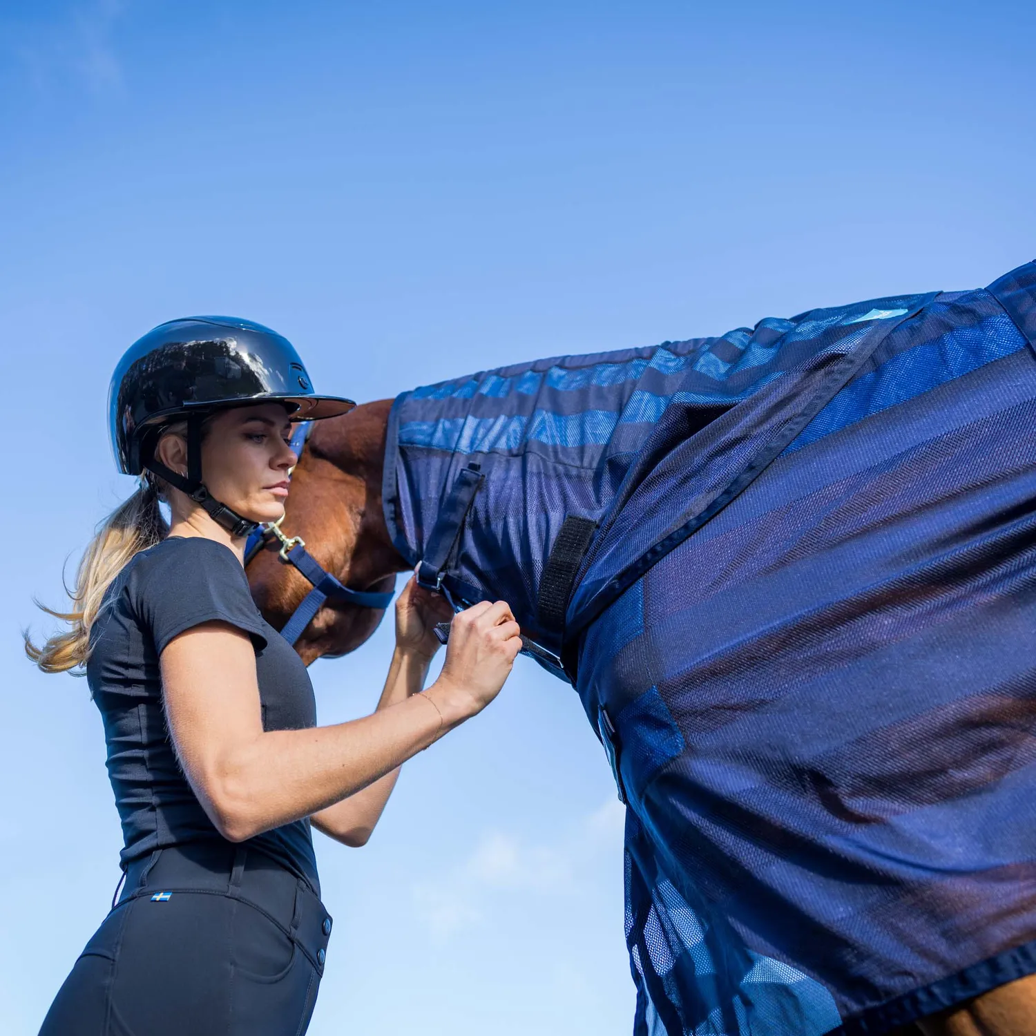 Back on Track Cool on Track couvre-cou cheval bleu M