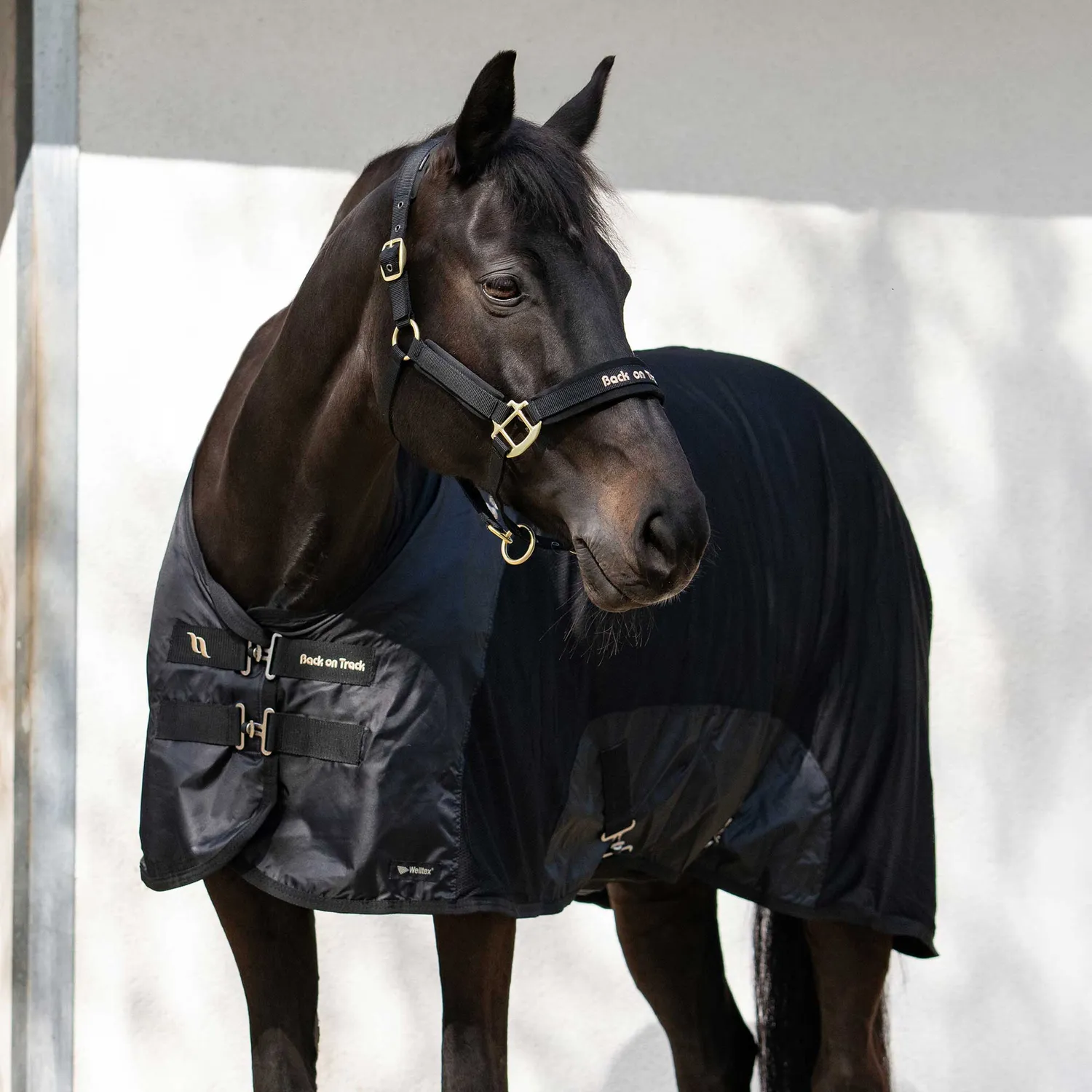 Back on Track Royal Deluxe chemise cheval bleu maille