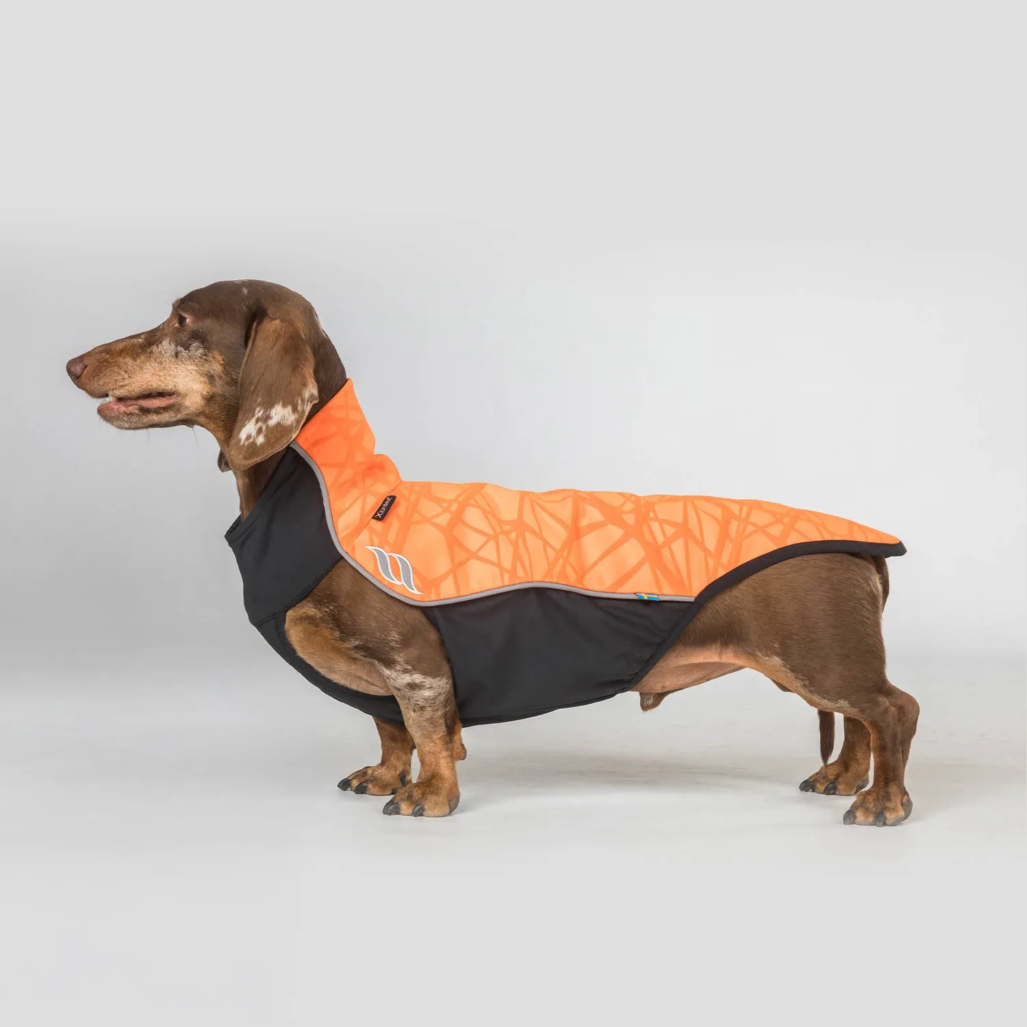 Back on Track Eddie pull pour chien orange 30 Iontex