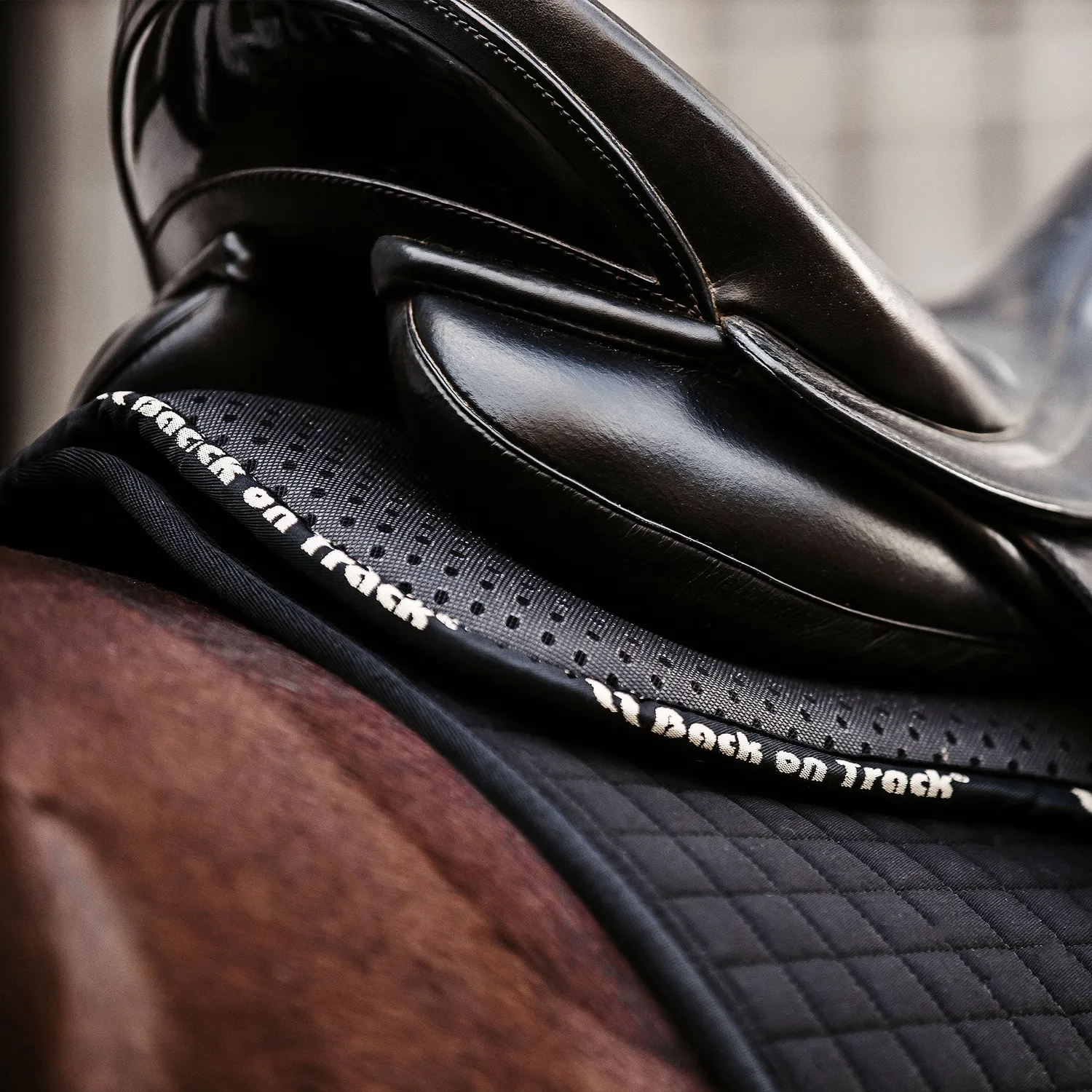 Back on Track Aurora Impact amortisseur cheval noir respirant