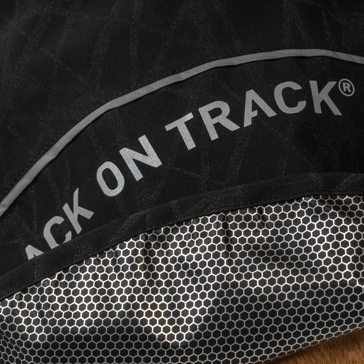 Back on Track Bay manteau pluie chien noir queue haute
