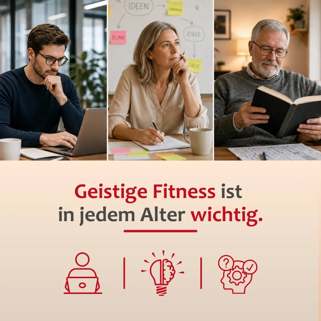 Staudt Gedächtnis Fit complément mémoire concentration