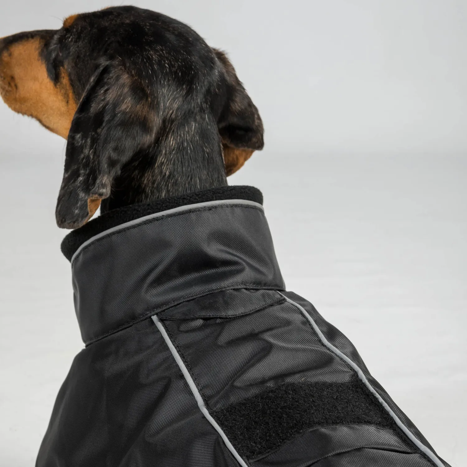 Back on Track Buddy 2.0 manteau chien thermique noir