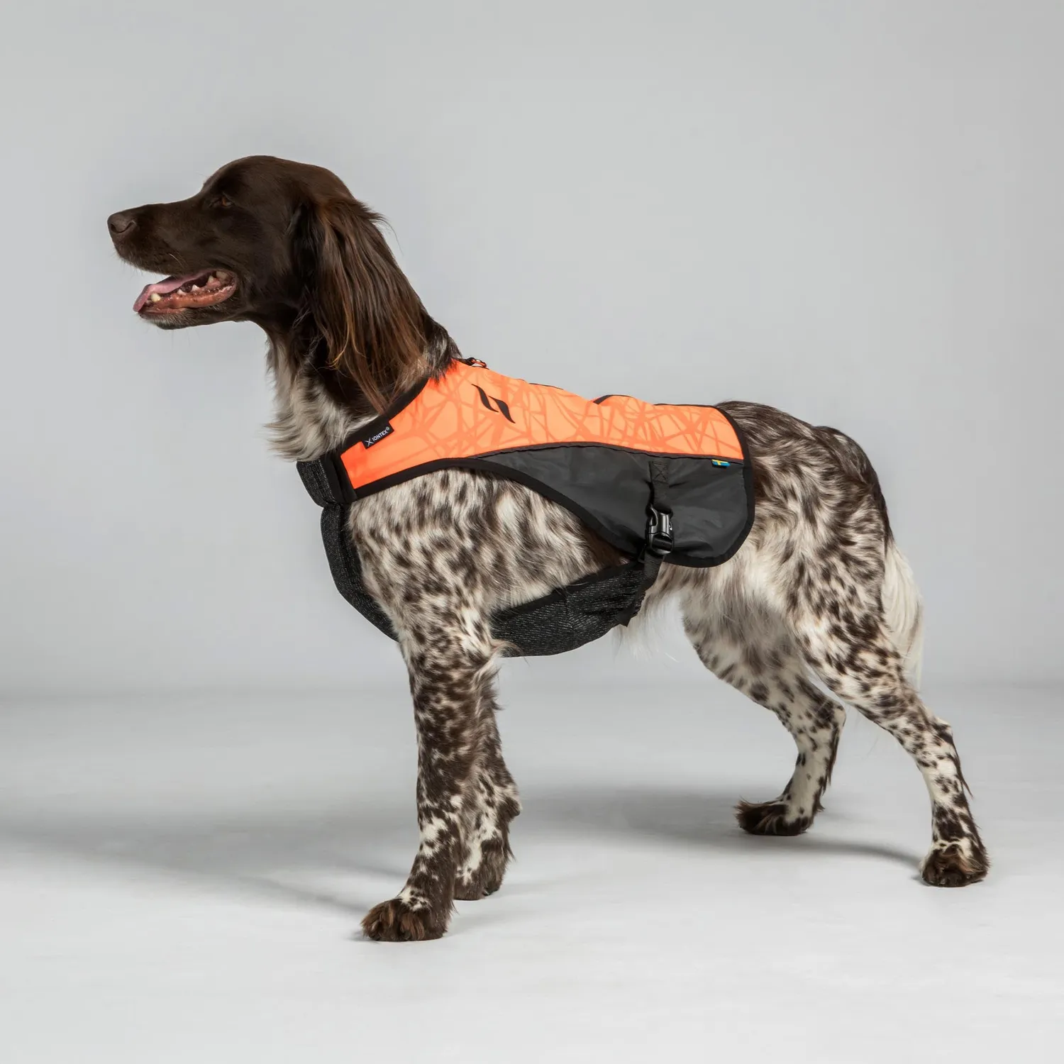Back on Track Trakk gilet chien orange réfléchissant