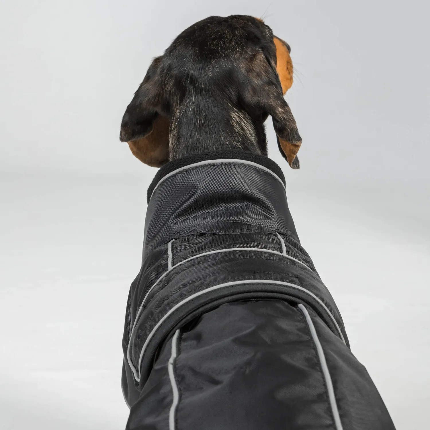 Back on Track Buddy 2.0 manteau chien thermique noir