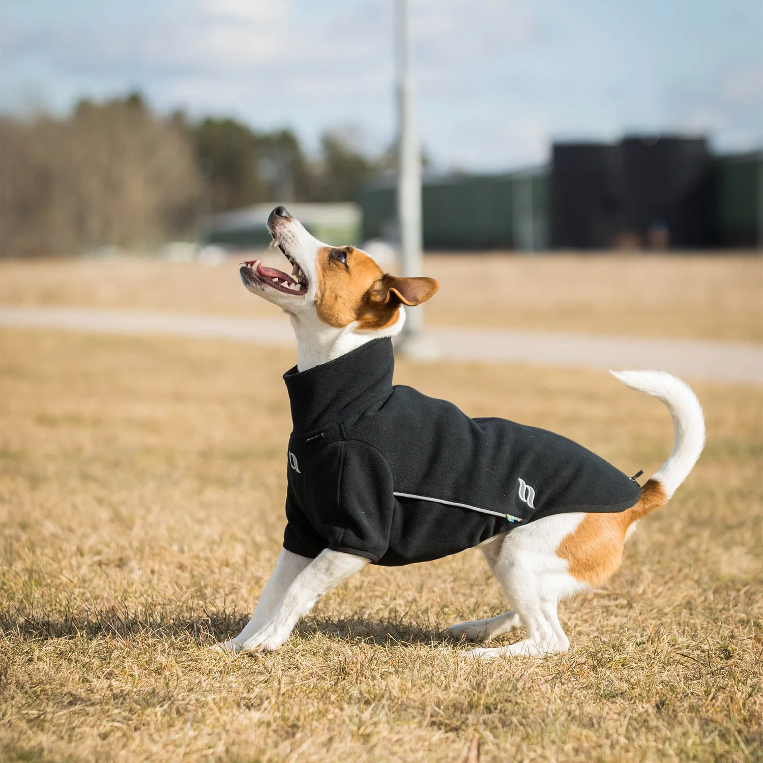 Back on Track Cassie Manteau chien polaire noir