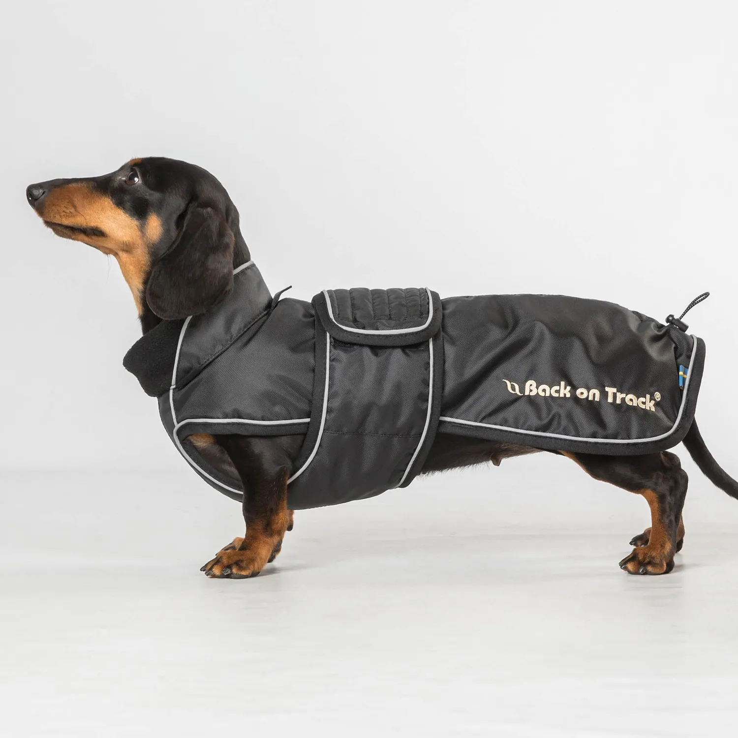 Back on Track Buddy manteau chien noir 44 cm