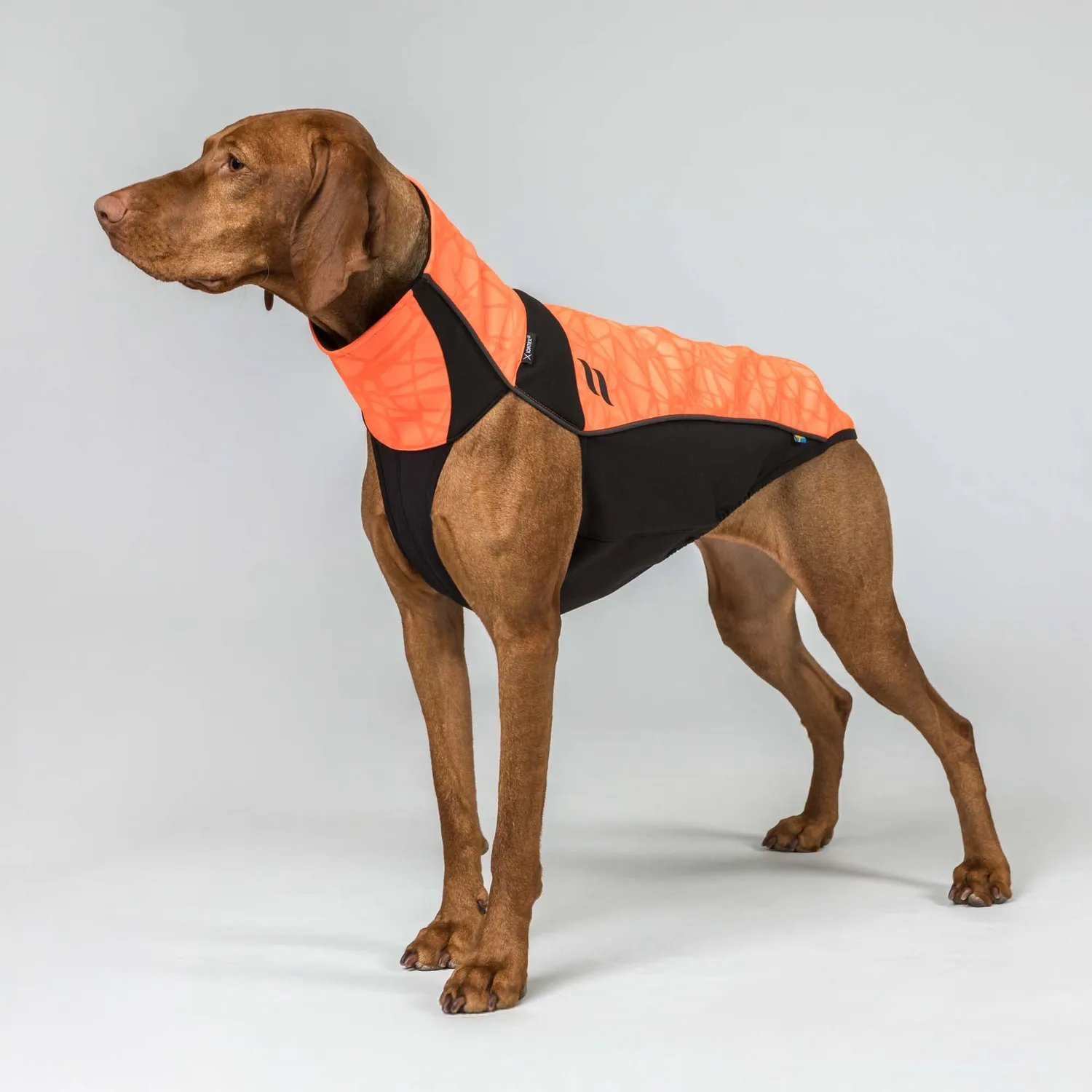 Back on Track Bark Visibility combinaison chien orange réfléchissante