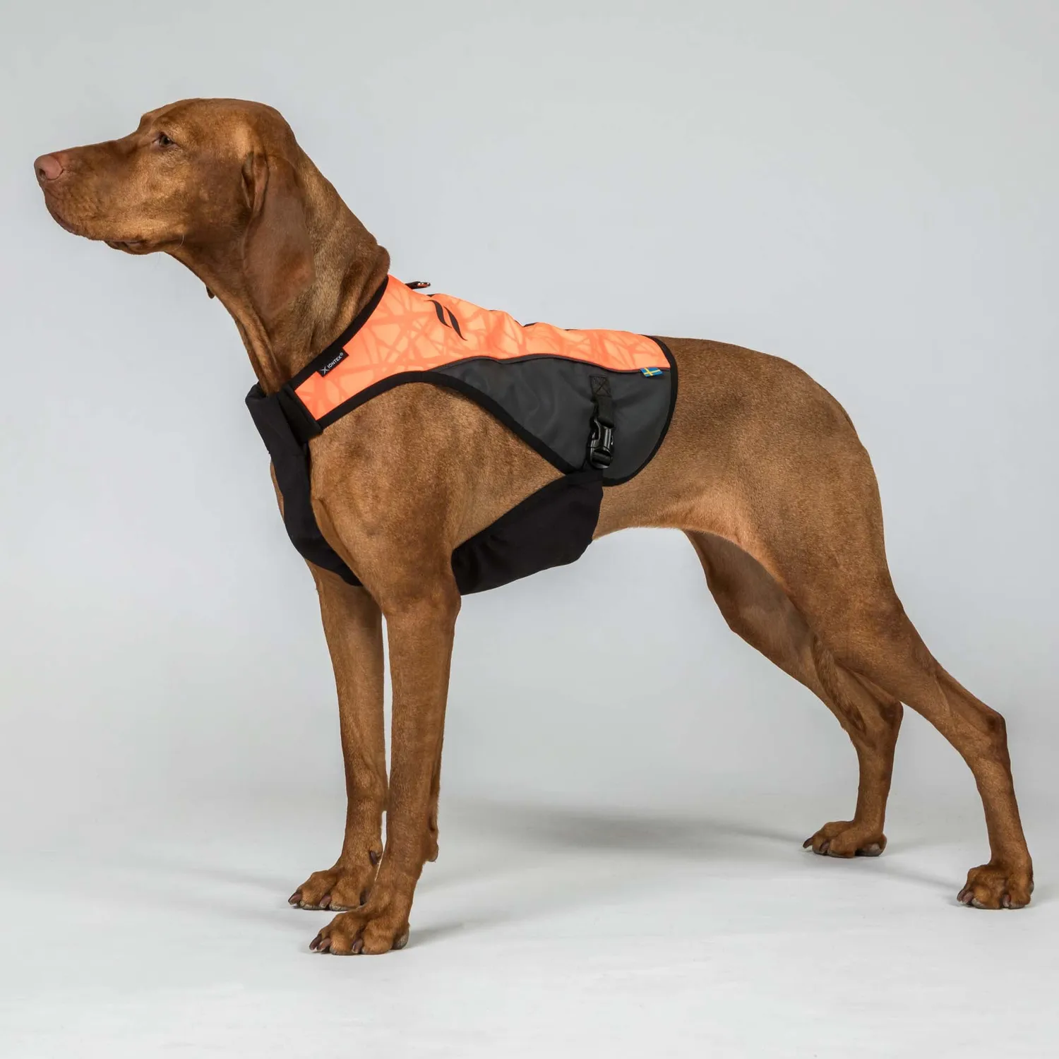 Back on Track TRAKK 2.0 gilet chien chasse orange M réfléchissant