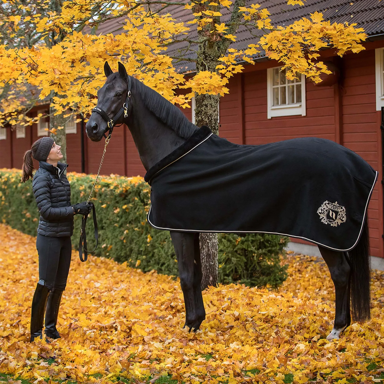 Back on Track Edward couverture cheval laine noire 145 cm
