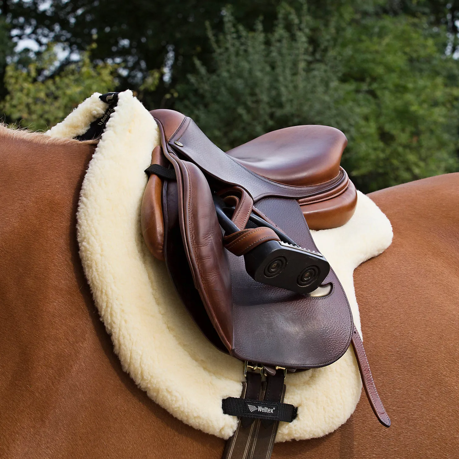 Back on Track Teddy tapis de selle beige fausse fourrure