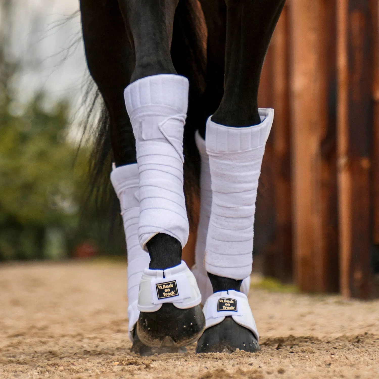 Back on Track Scandic PK Pads sous-bandes cheval noir 40x40 cm infrarouge