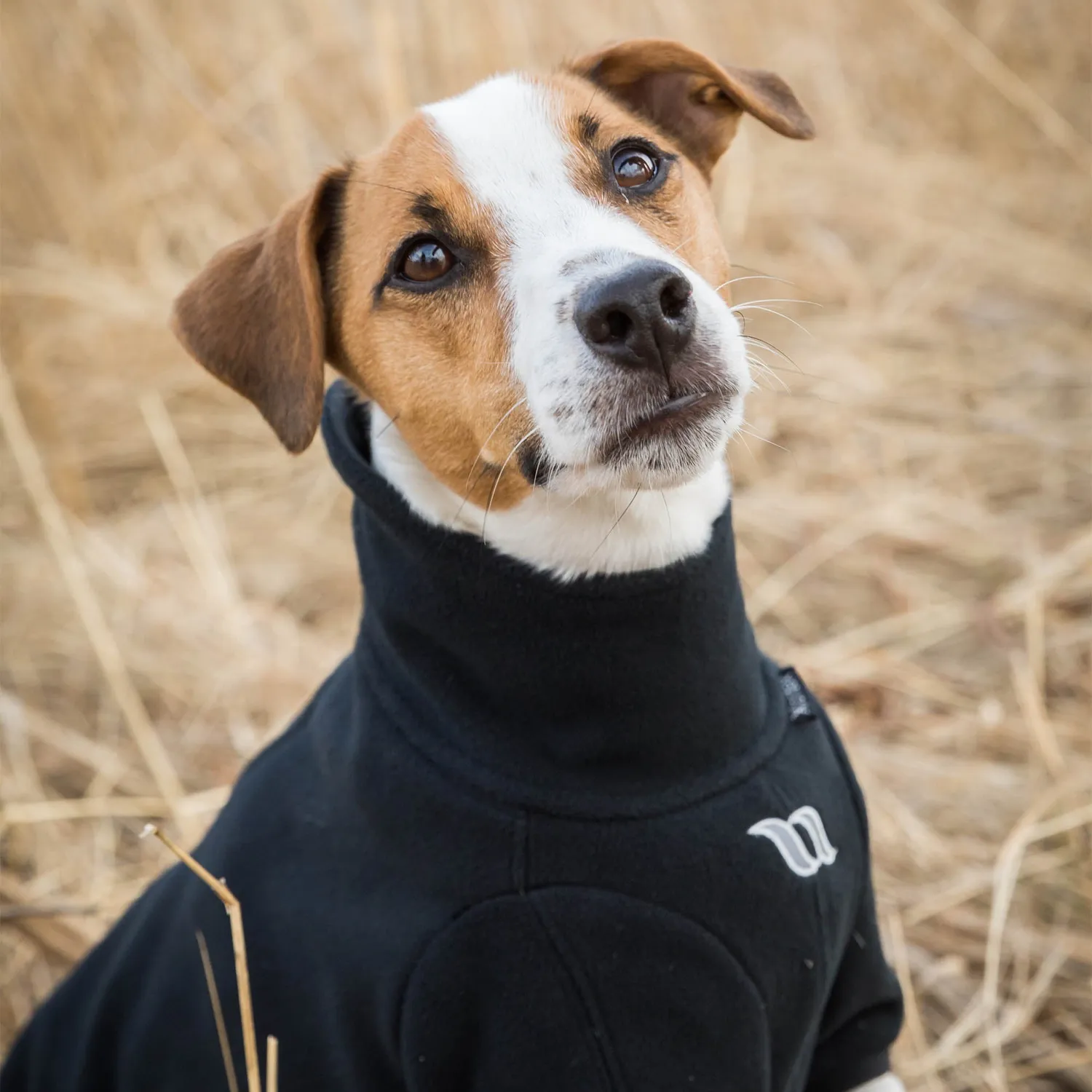Back on Track Cassie Manteau chien polaire noir