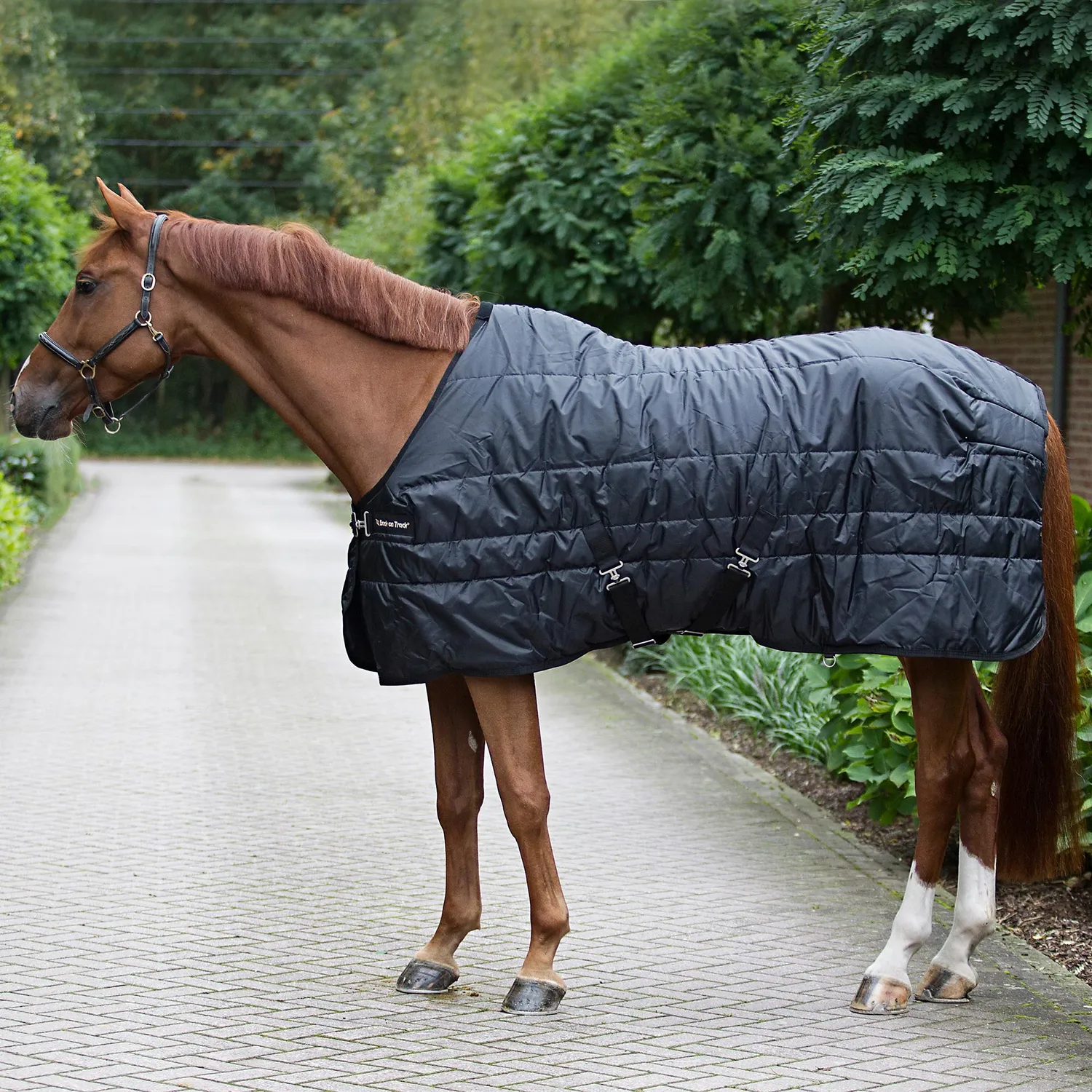 Back on Track Rime Mia couverture cheval noir 160g