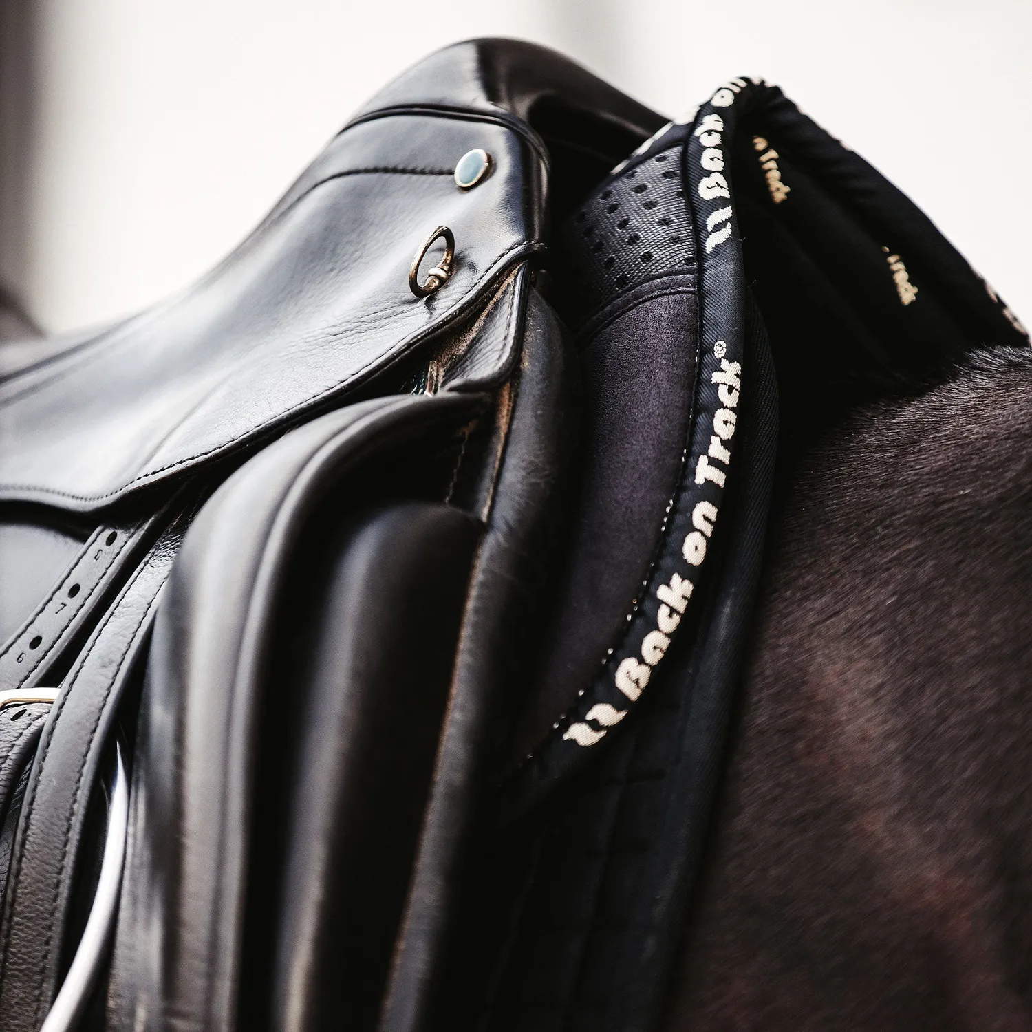 Back on Track Aurora Impact amortisseur cheval noir respirant