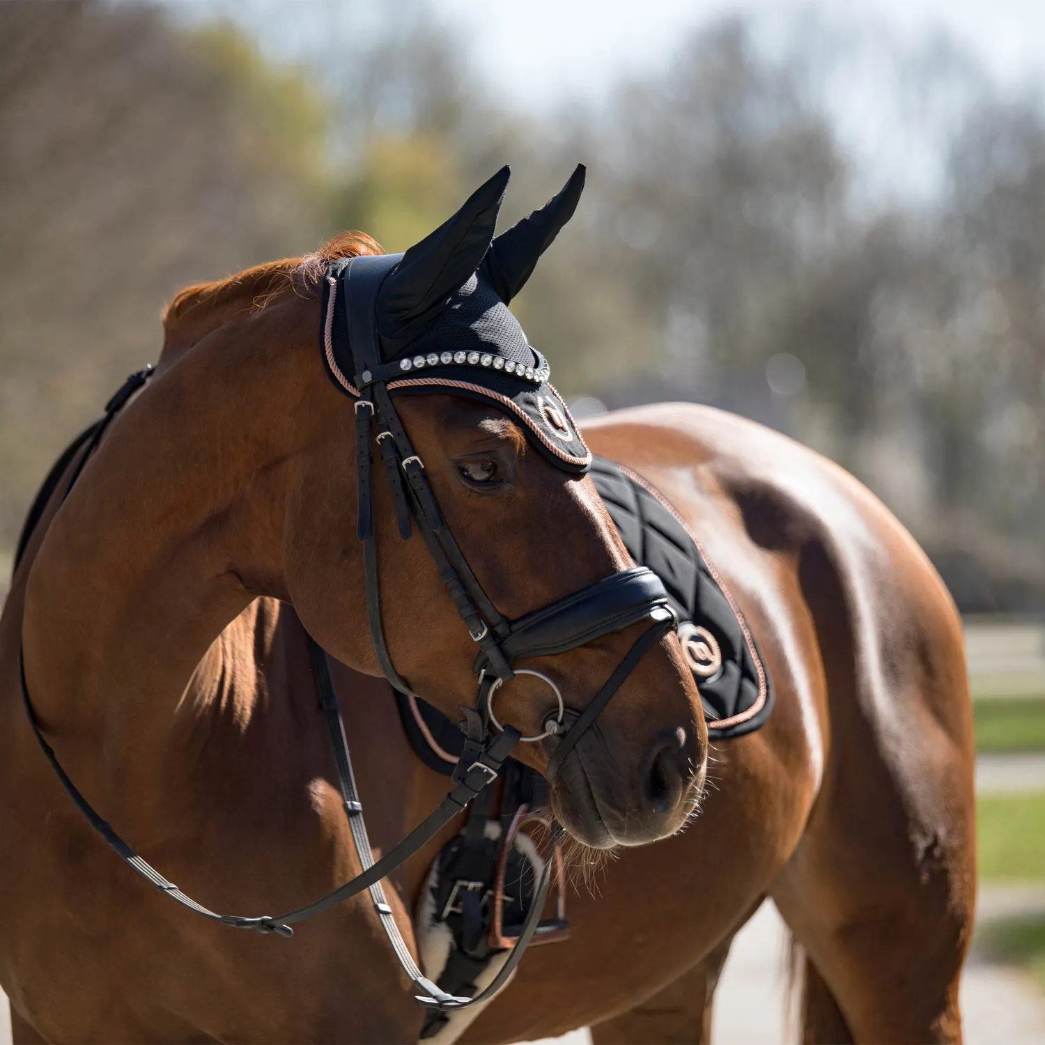 Back on Track Haze Collection bonnet cheval noir anti-mouches