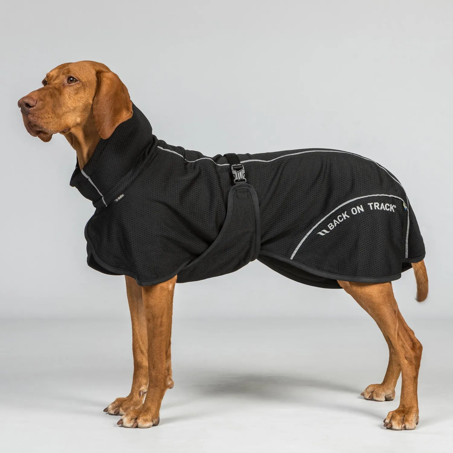 Back on Track Bay Mesh manteau chien noir 50 respirant