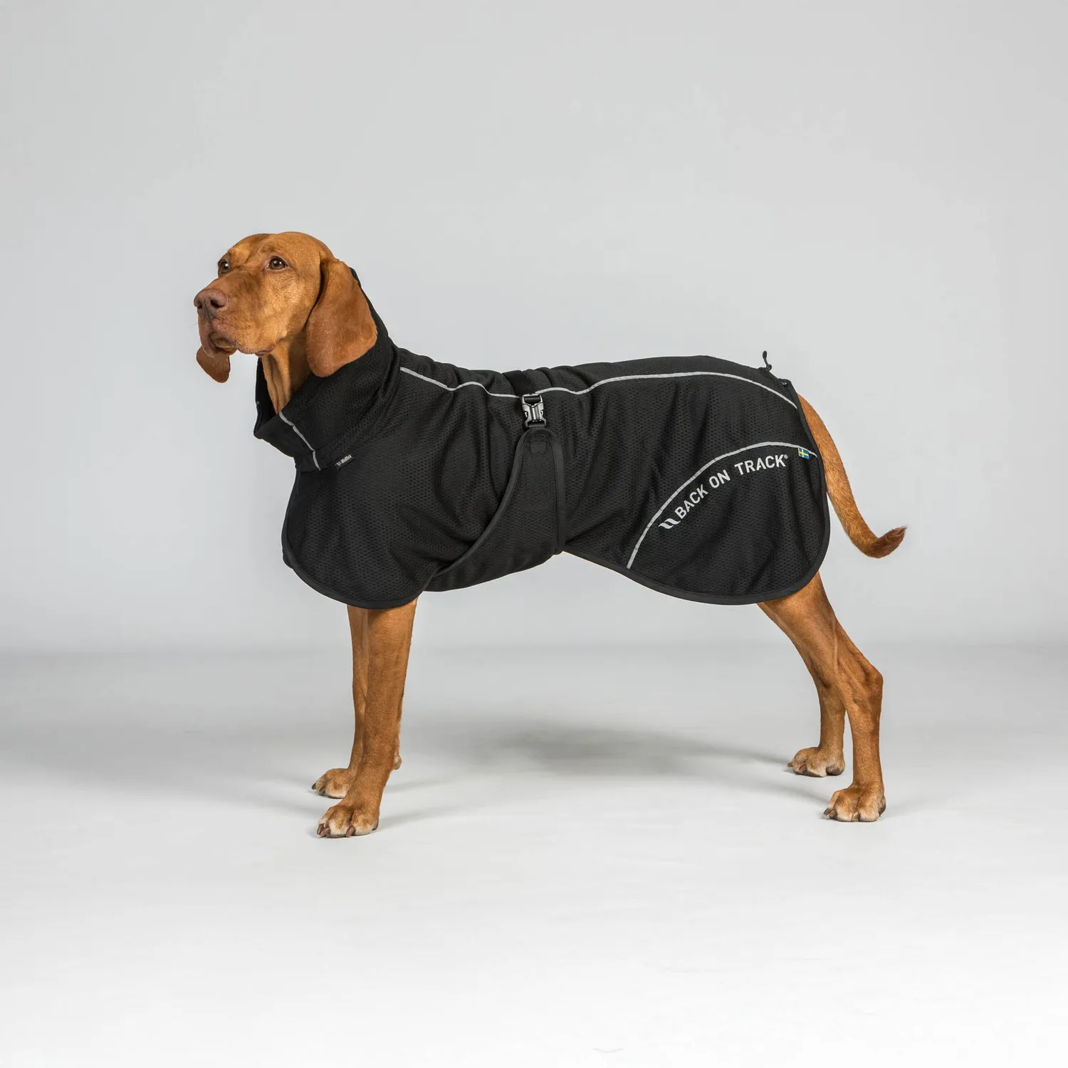 Back on Track Bay manteau chien mesh noir queue haute