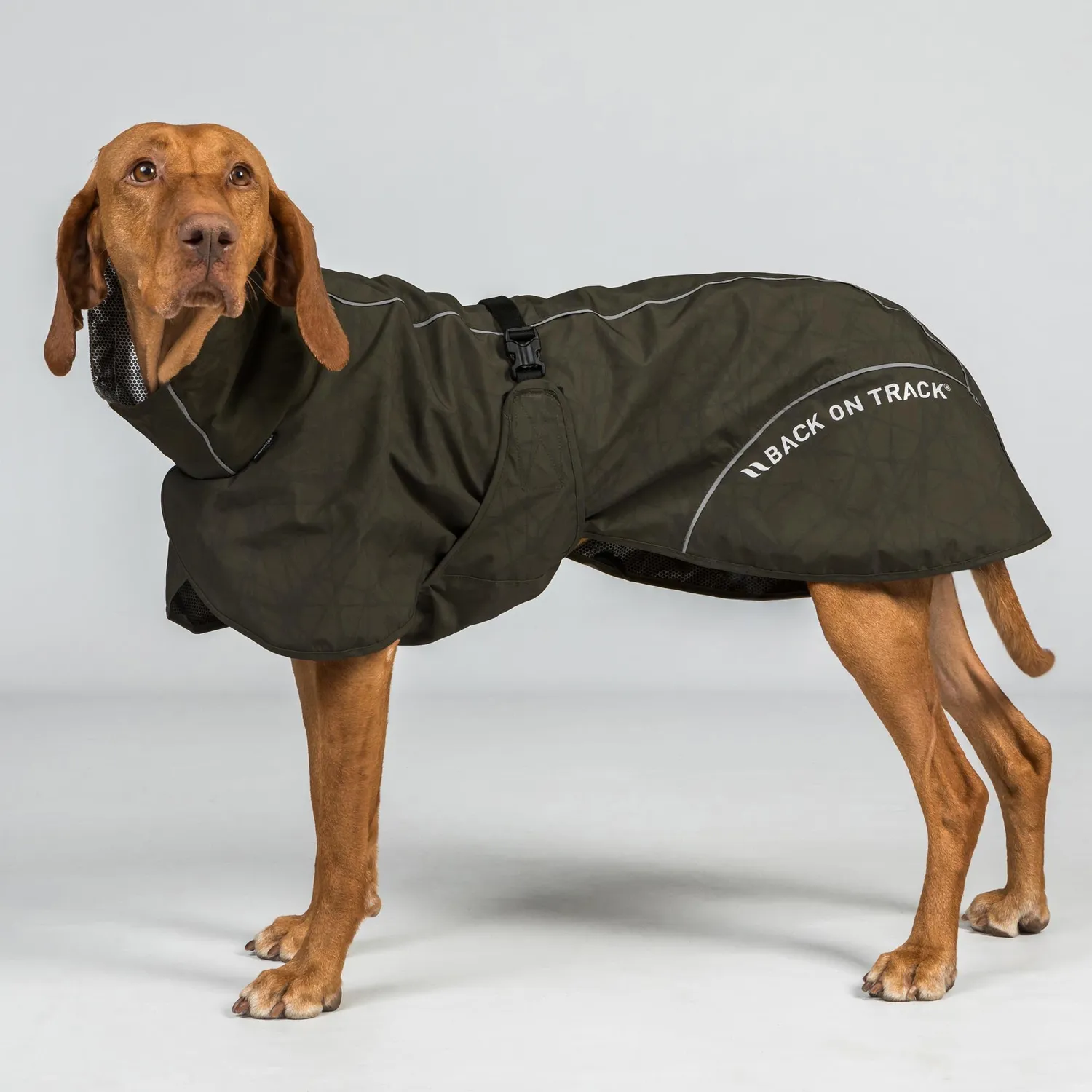 Back on Track Bay manteau pluie chien queue basse imperméable
