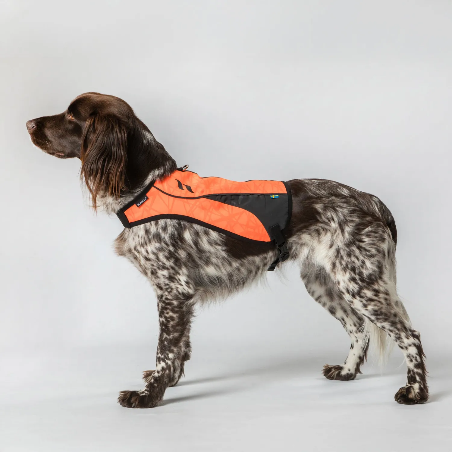 Back on Track Point gilet chien orange XS visibilité chasse