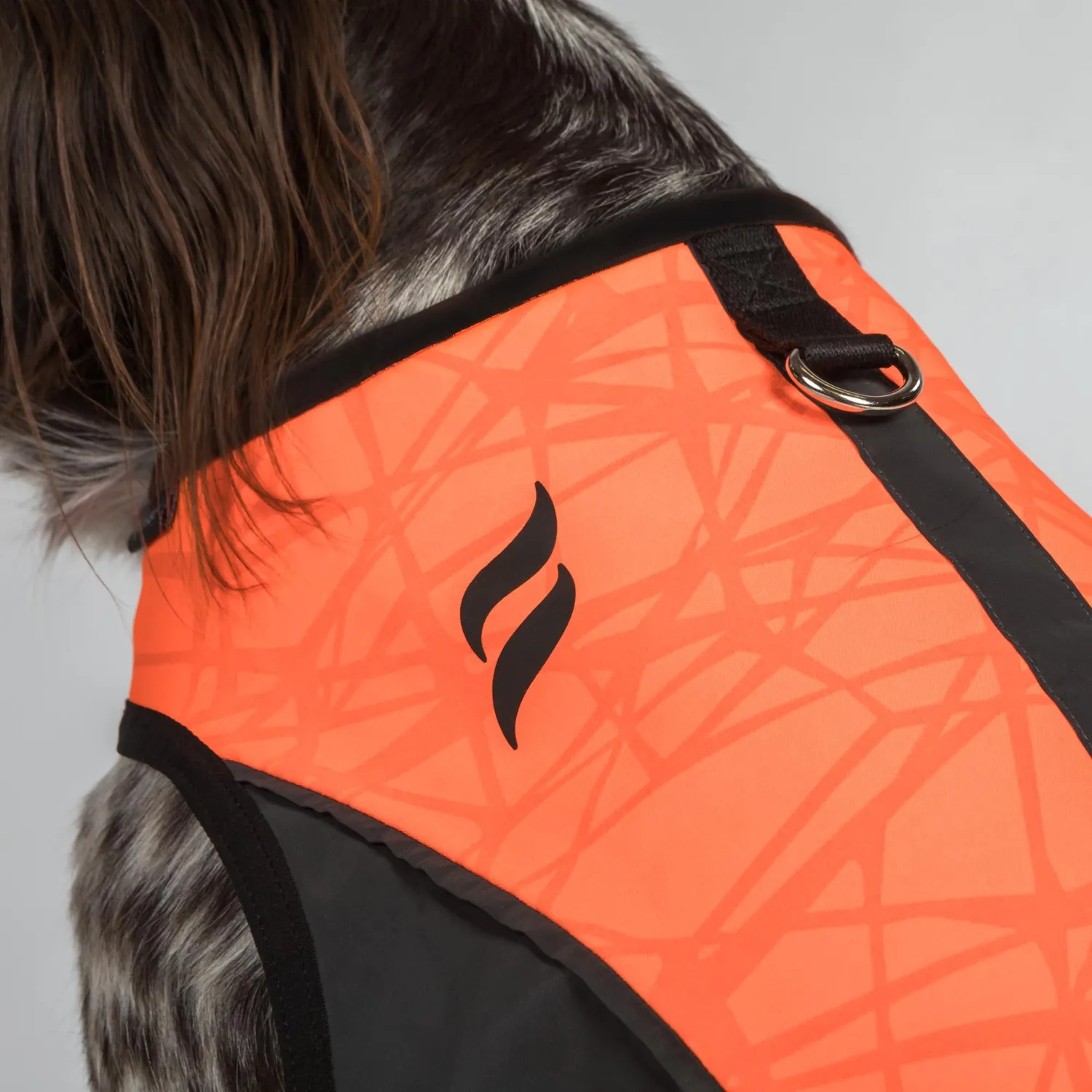 Back on Track Trakk gilet chien orange réfléchissant
