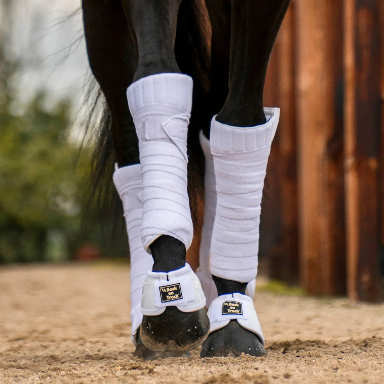Back on Track Performance cloches cheval noir M paire