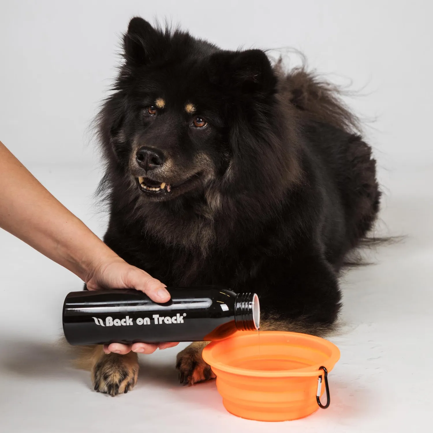 Back on Track gamelle chien silicone pliable orange mousqueton