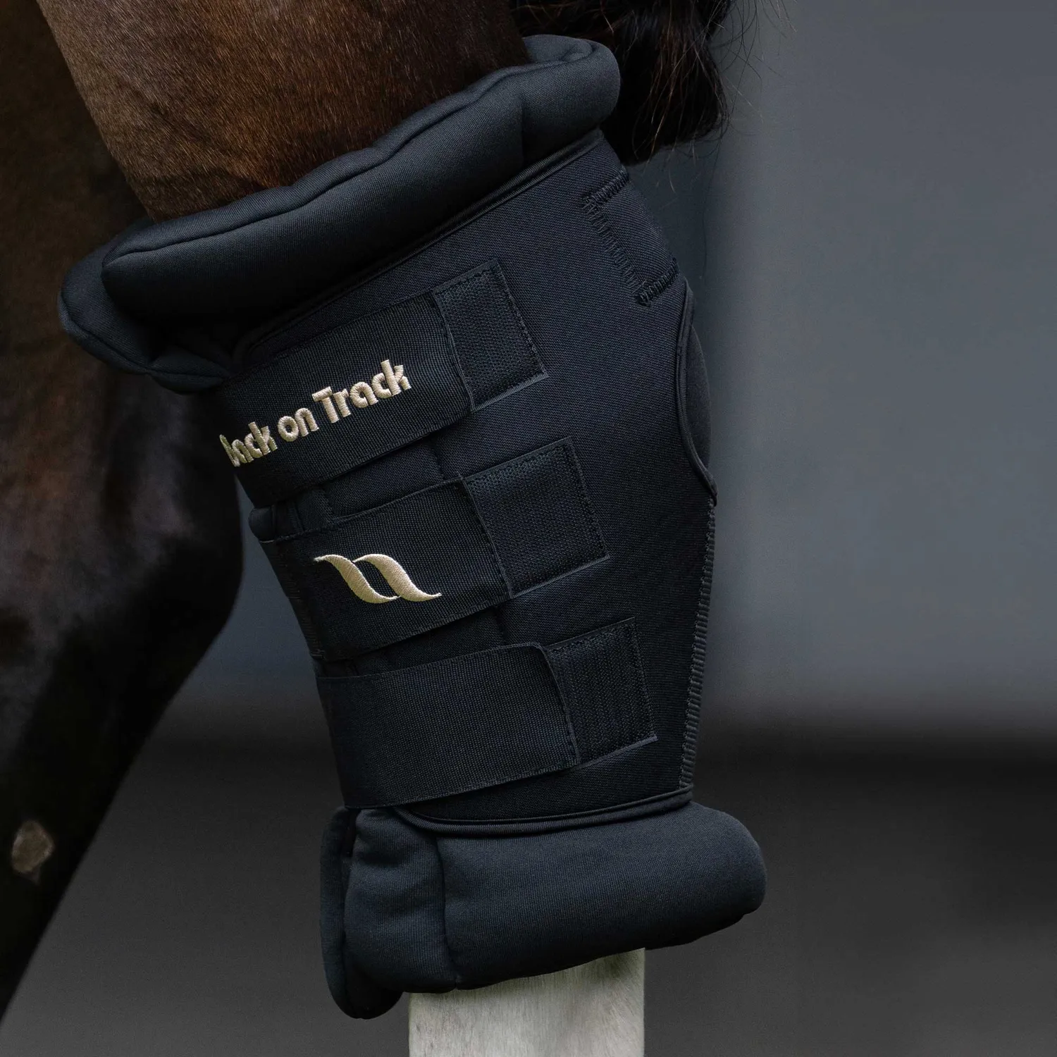 Back on Track Royal Deluxe protège-jarrets cheval noir