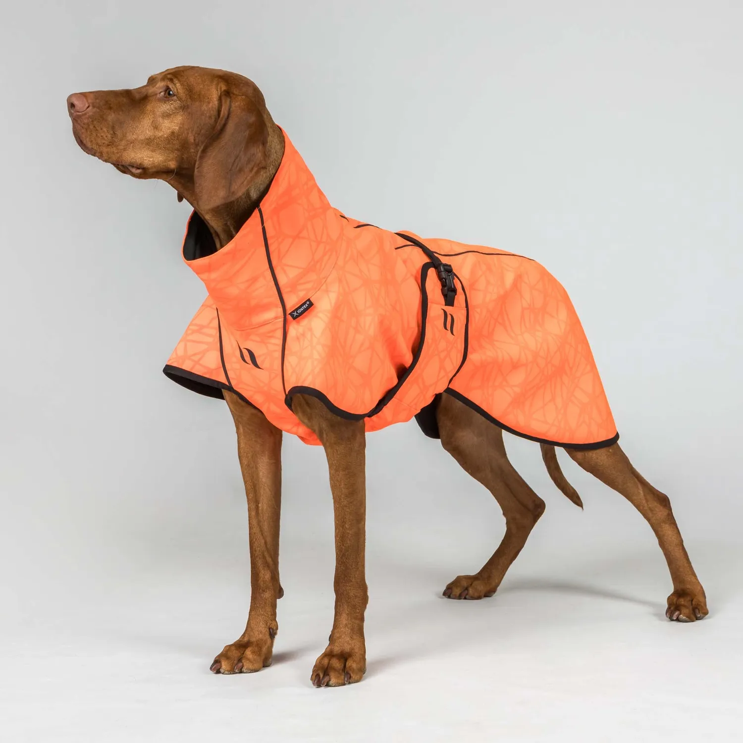 Back on Track Bark manteau chien softshell orange queue basse