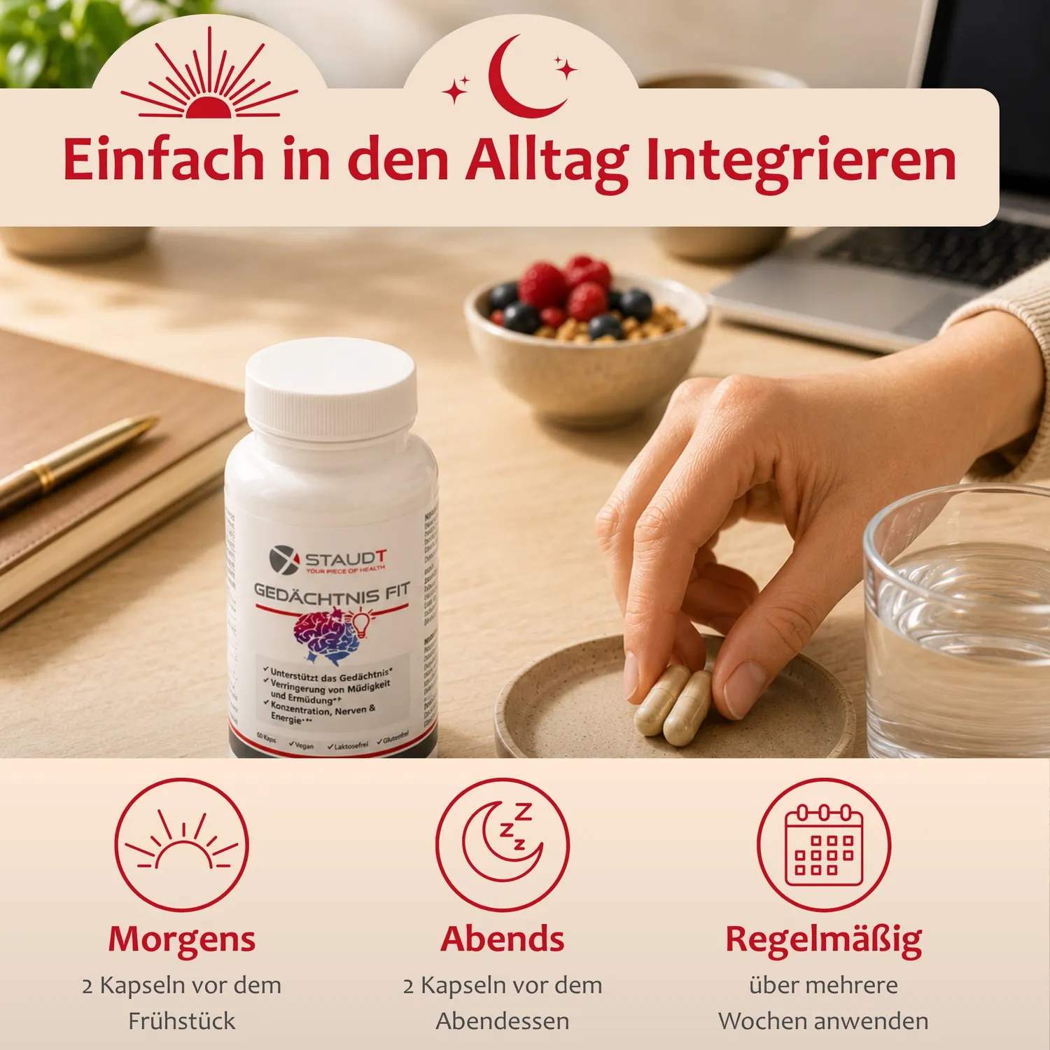Staudt Gedächtnis Fit complément mémoire concentration