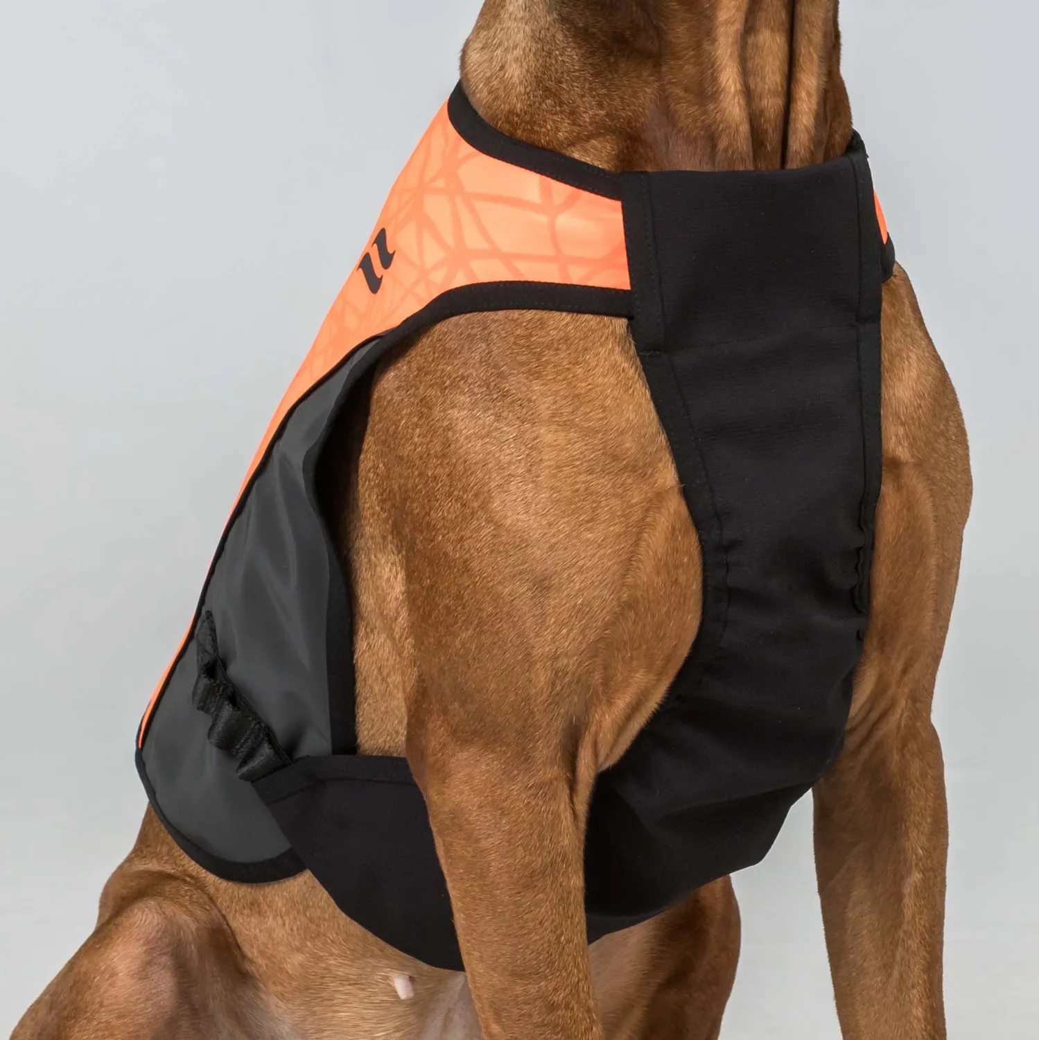 Back on Track TRAKK 2.0 gilet chien chasse orange M réfléchissant