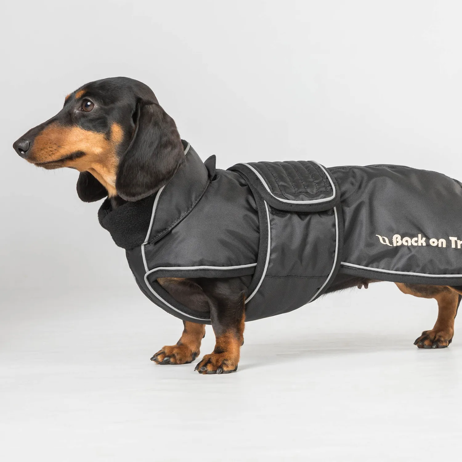 Back on Track Buddy manteau chien noir 44 cm