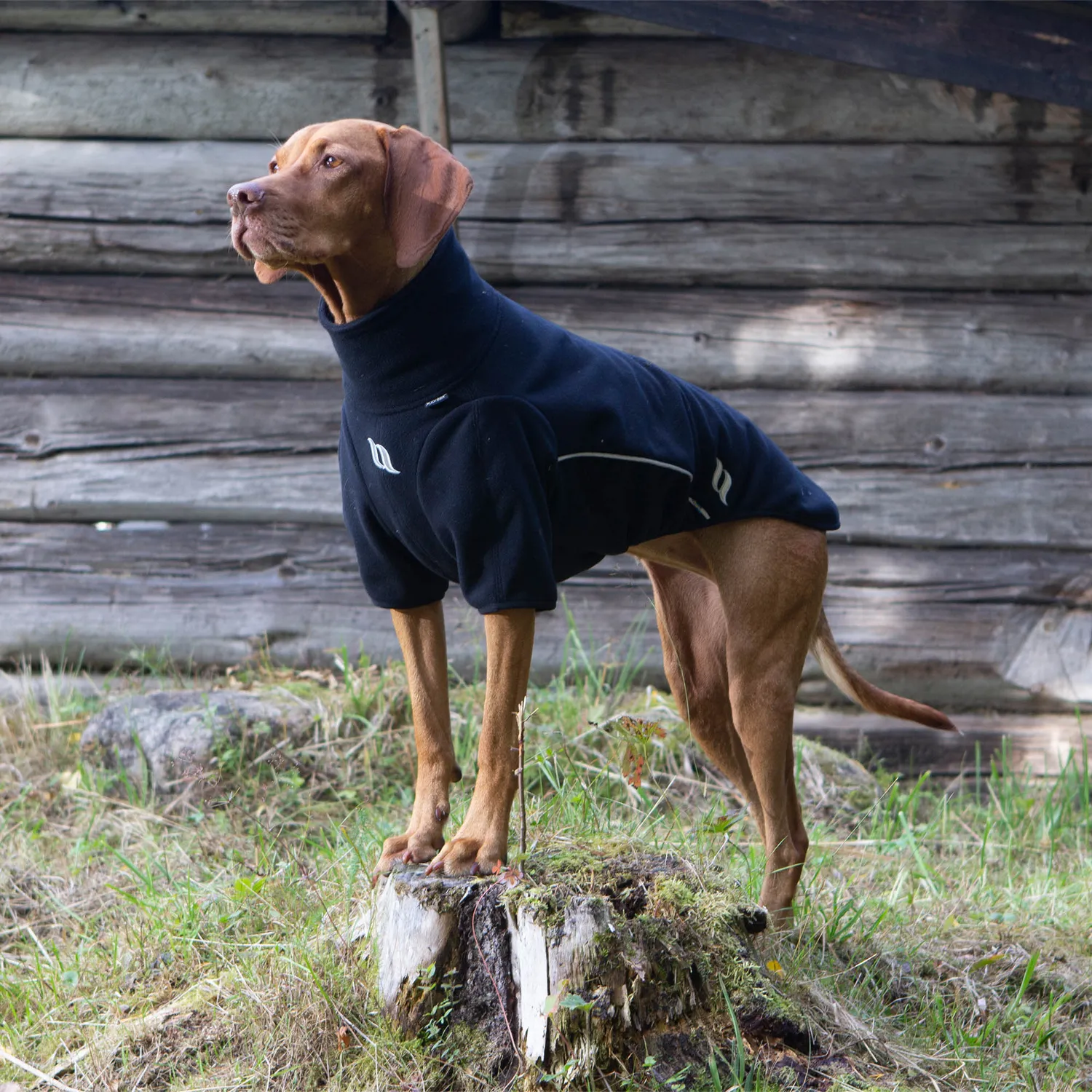 Back on Track Cassie Manteau chien polaire noir