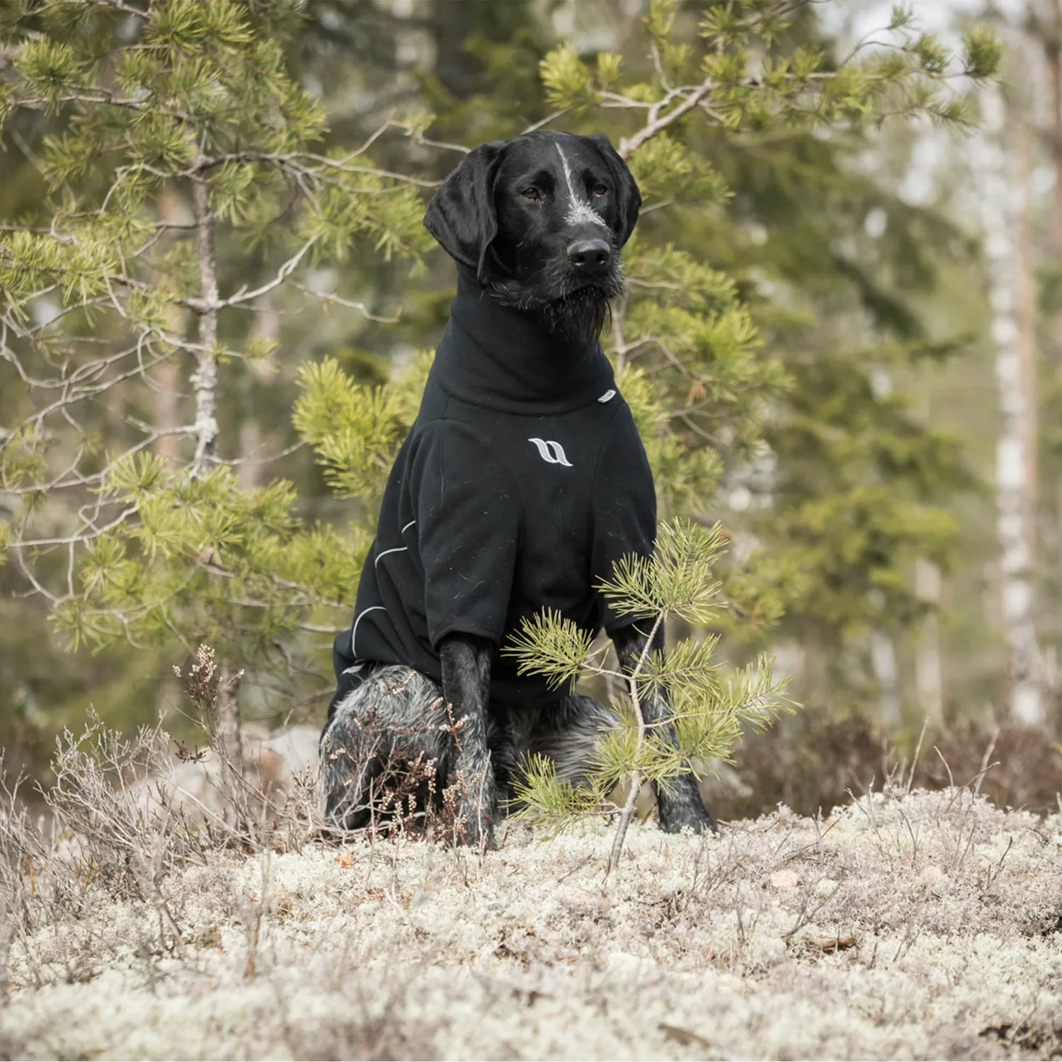 Back on Track Cassie Manteau chien polaire noir