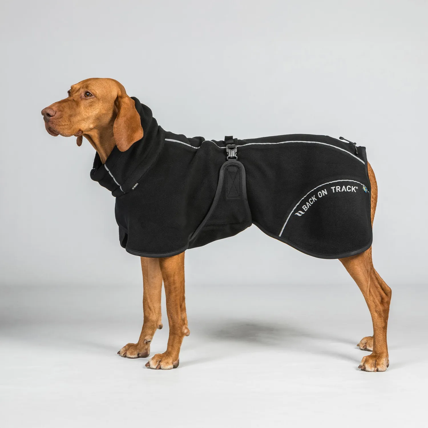 Back on Track Bay manteau polaire chien noir 50 queue haute