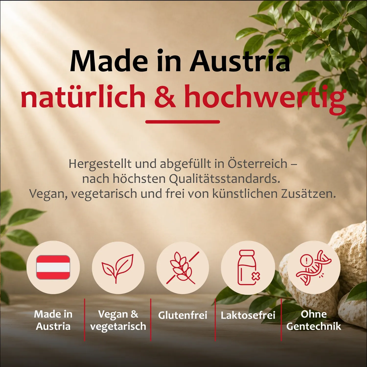 Staudt Gedächtnis Fit complément mémoire concentration