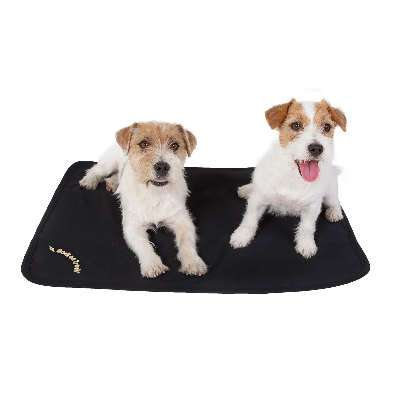 Back on Track All-round matelas chien noir 76x58 cm