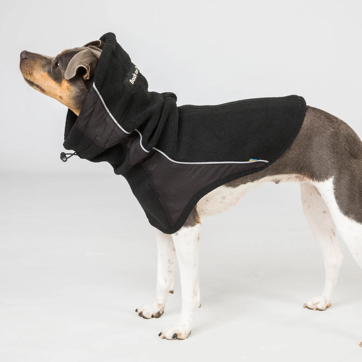 Back on Track Benji cache-cou chien noir chaud