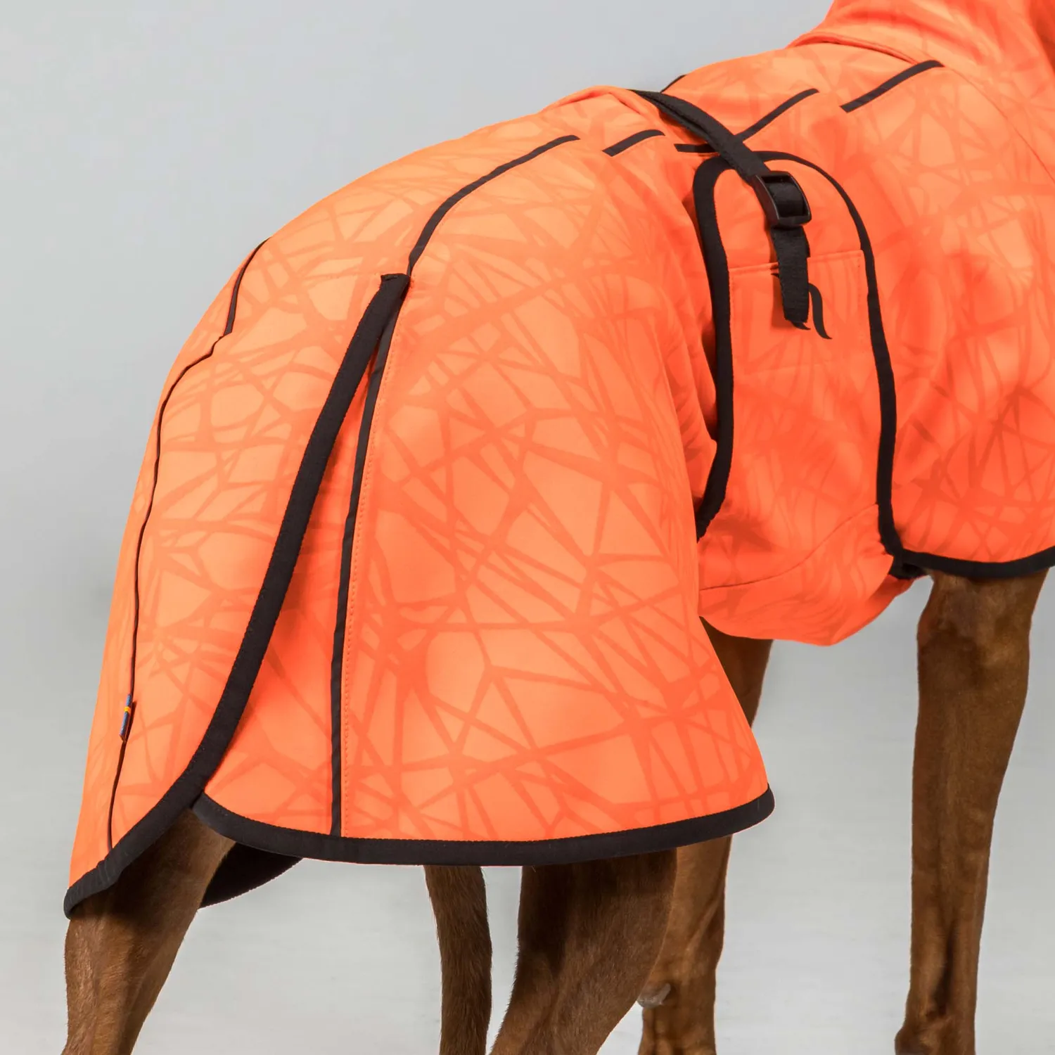 Back on Track Bark manteau chien softshell orange queue basse