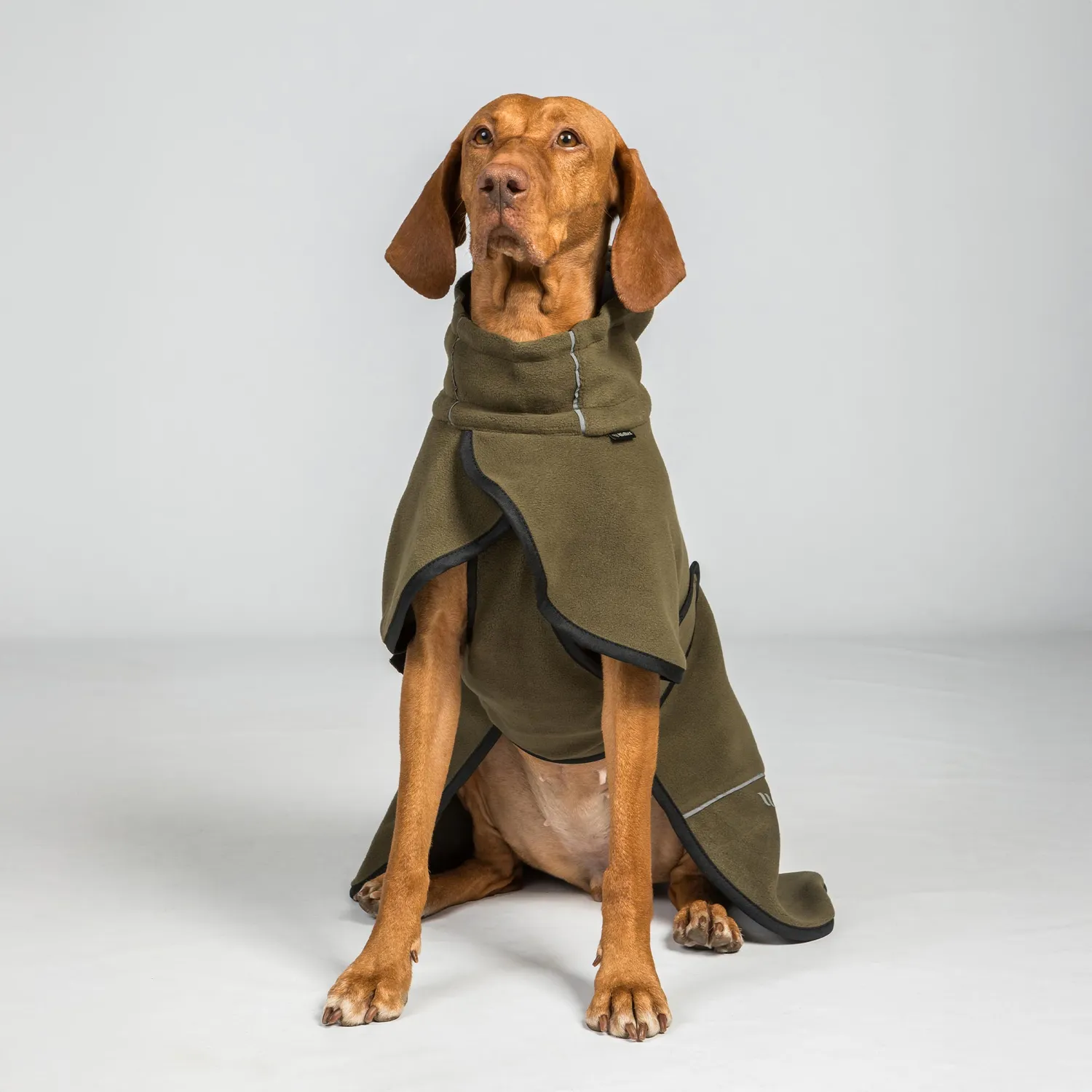 Back on Track Bay manteau polaire chien noir 50 queue haute