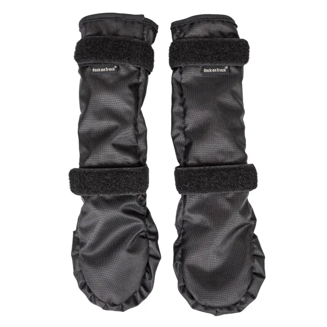 Back on Track Lola chaussures chien noir paire céramique