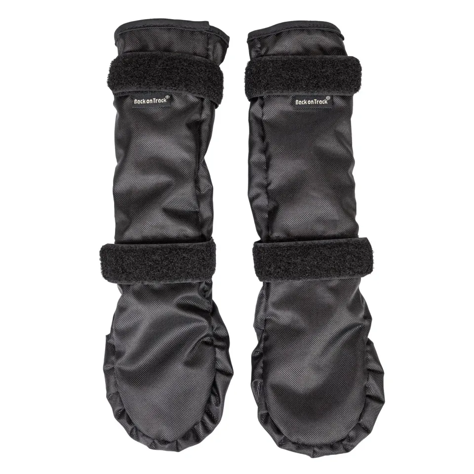Back on Track Lola chaussures chien noir paire céramique