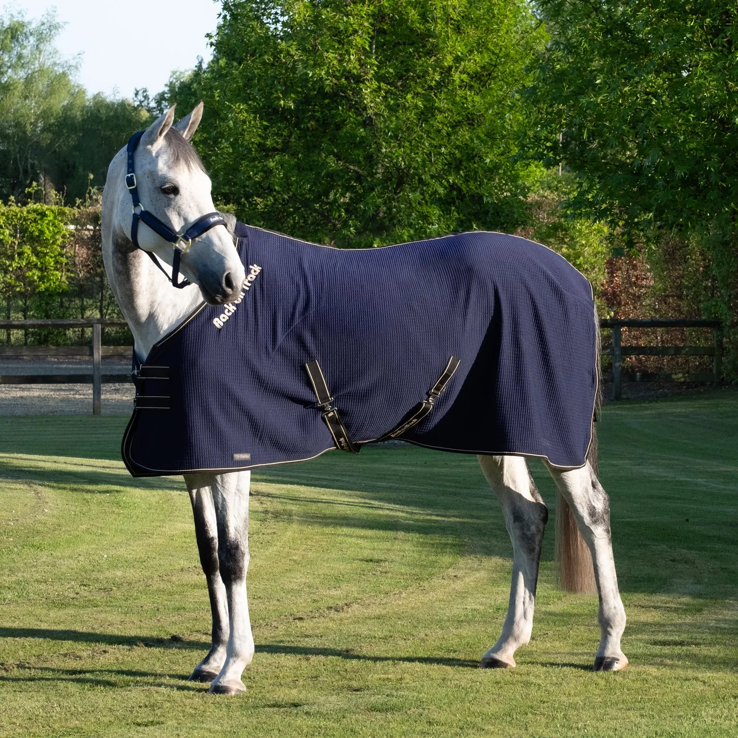 Back on Track Quick Cooler couverture cheval bleue séchante
