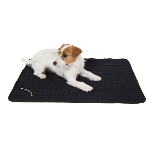 Back on Track Allround matelas chien matelassé récupération