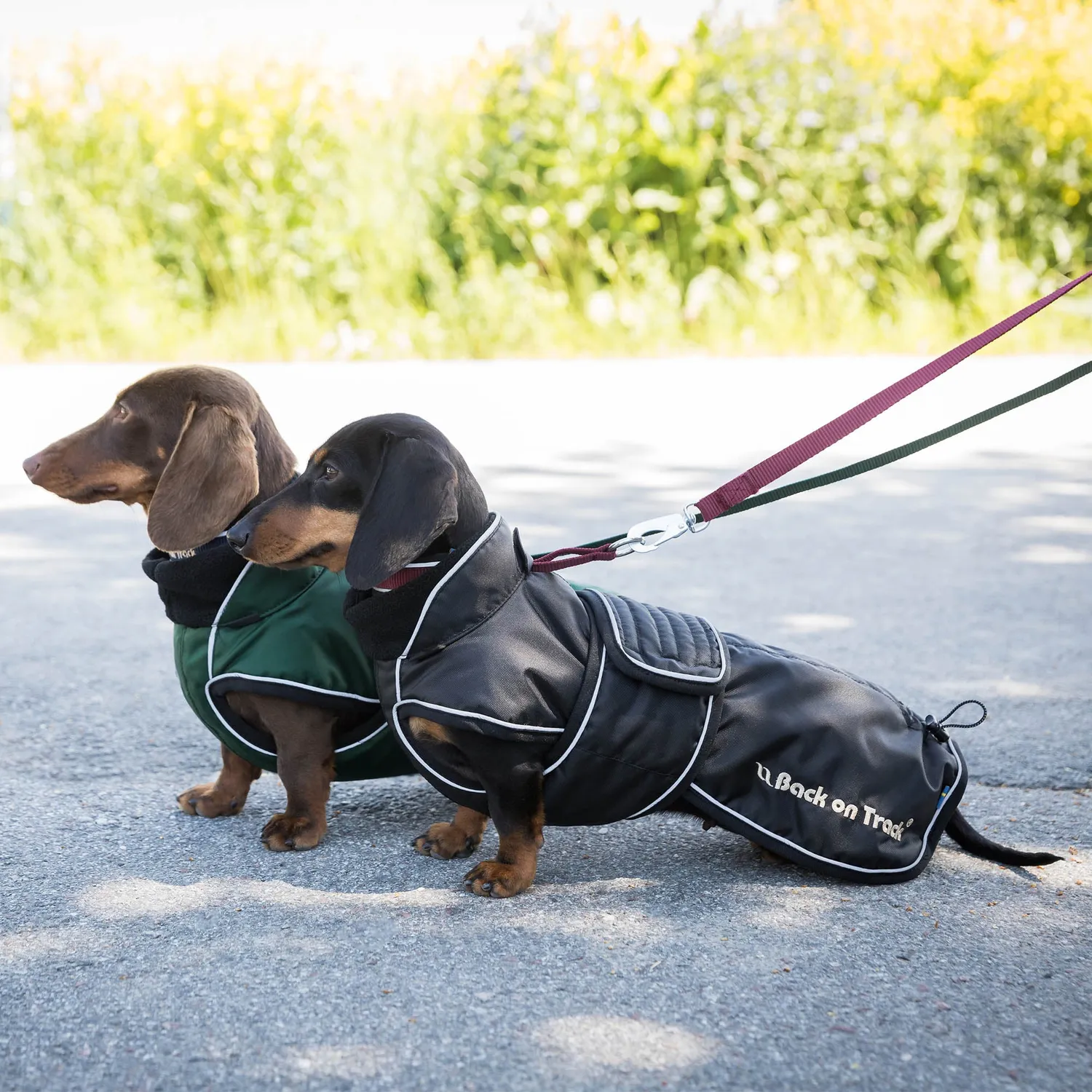 Back on Track Buddy manteau chien noir 44 cm